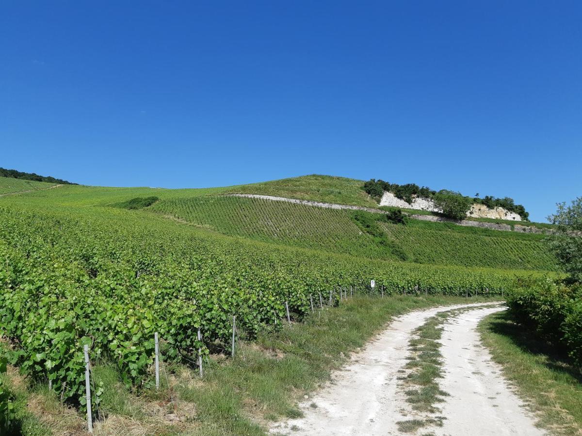 La Cour Des Marotiers Panzió Mareuil-sur-Ay Kültér fotó